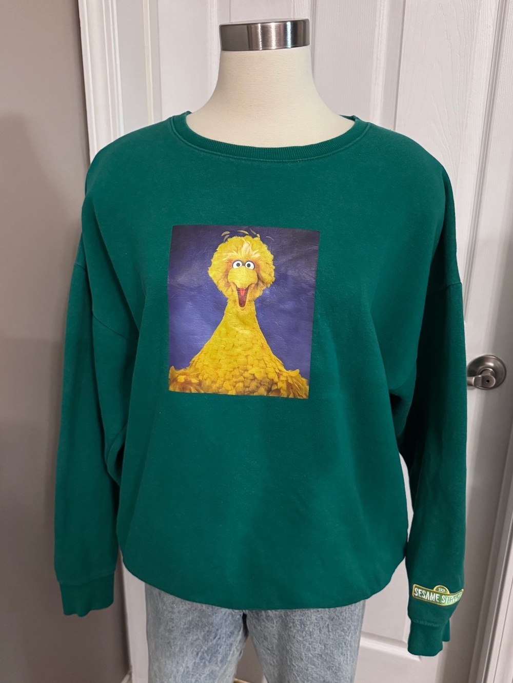 H&M Sesame Street Big Bird Graphic Sweatshirt Green Oversized Large